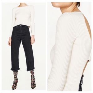 Zara ripped open back top